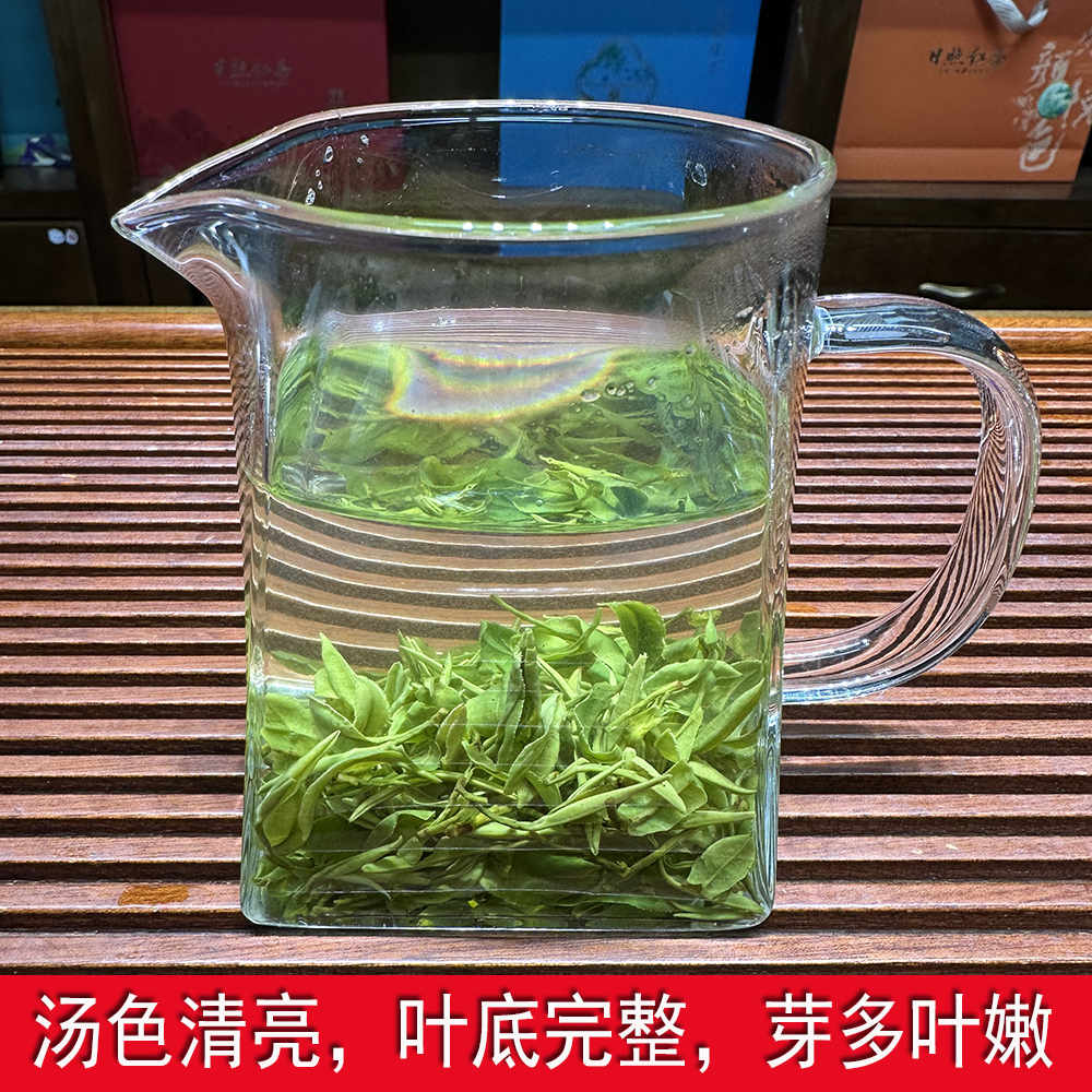 日照绿茶2024新茶特级春茶手工炒制山东炒青茶叶一芽一农家无农害 - 图2