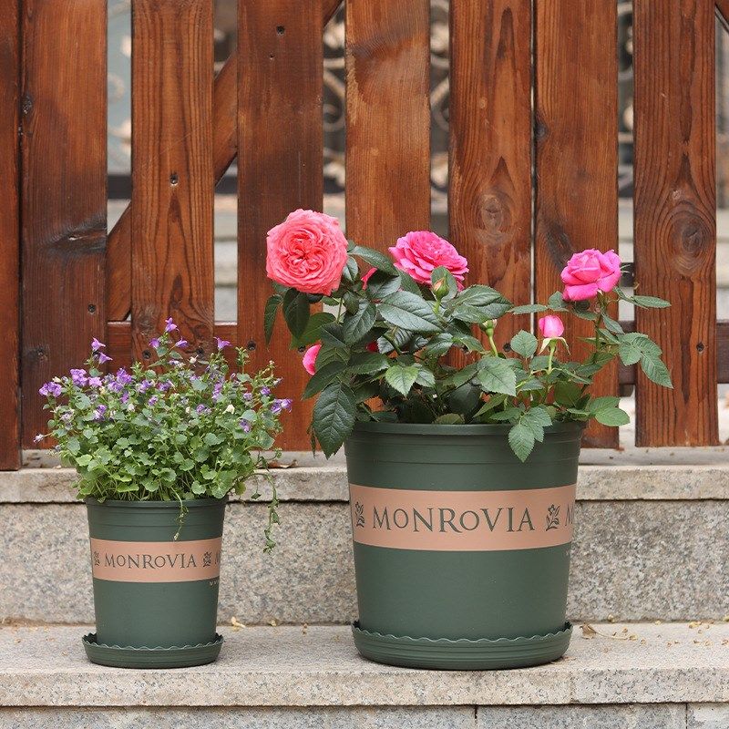 种绣球加仑花盆圆形塑料花盆月季树脂阳台养花种菜矮胖多肉花盆,淘宝优惠券,粉丝福利购,淘宝优惠卷