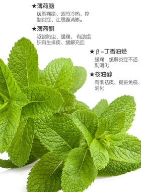 K家椒样薄荷单方精油香薰按摩油