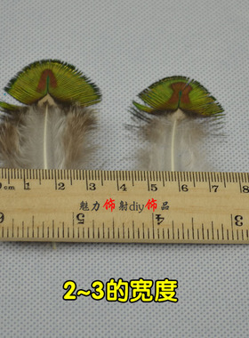 DIY饰品配件孔雀锦毛稀有珍贵孔雀毛金片头饰服装舞台羽毛