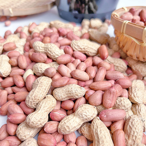 2025年新鲜生花生米大粒干花生今年新货河南农家新花生米可吃可种 - 图2