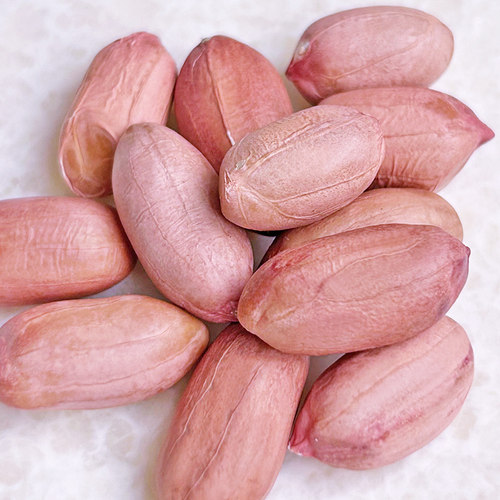 2025年新鲜生花生米大粒干花生今年新货河南农家新花生米可吃可种 - 图3