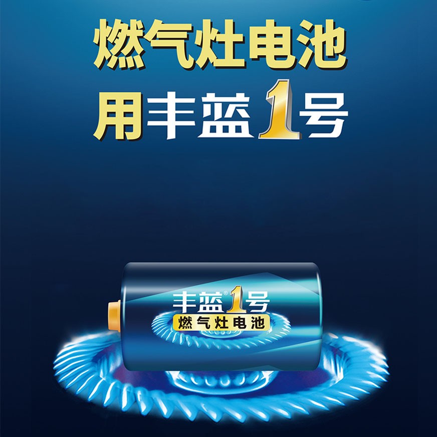 南孚丰蓝1号电池大号一号燃气灶电池天然气灶液化气灶热水器专用家用手电筒D干电池R20正品碳性1.5V南孚5号 - 图0