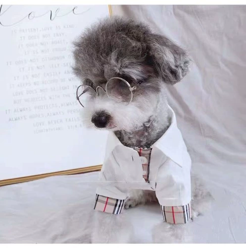 Осенняя тонкая рубашка, в корейском стиле