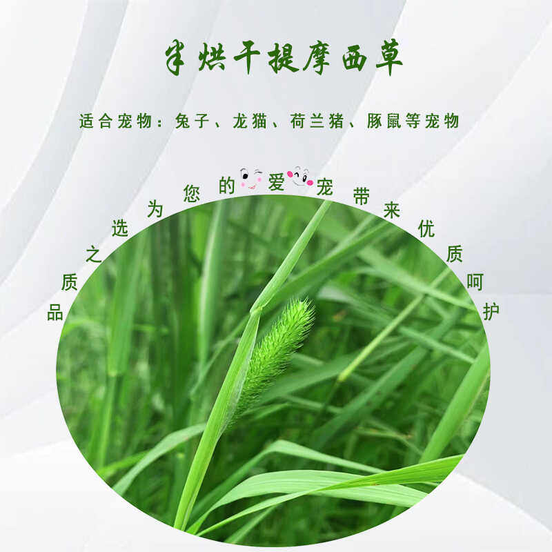 2025年提摩西草半烘干特优提草北提牧草龙猫荷兰猪磨牙兔兔干草,淘宝优惠券,粉丝福利购,淘宝优惠卷