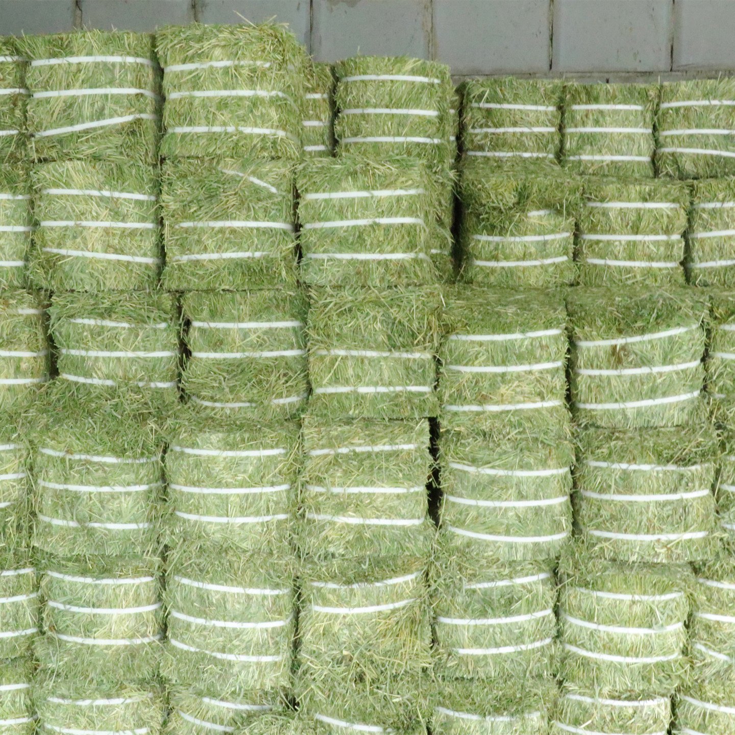 晒干提摩西草美提兔子专用主食干草龙猫荷兰猪兔粮饲料非烘干草,淘宝优惠券,粉丝福利购,淘宝优惠卷