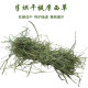 Timothy rabbit guinea pig chinchilla grass hay