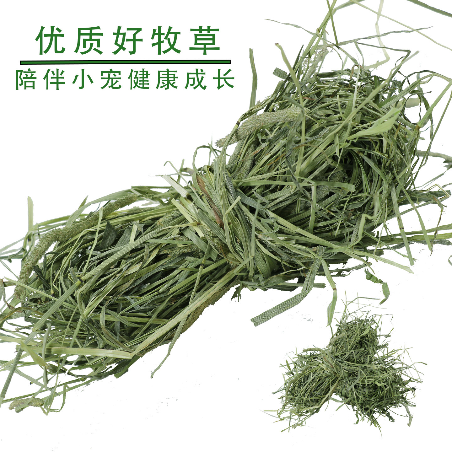 晒干提摩西草兔草北提龙猫荷兰猪豚鼠专用磨牙饲料半烘干草,淘宝优惠券,粉丝福利购,淘宝优惠卷