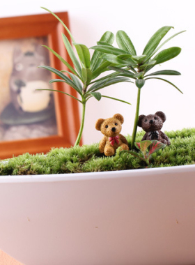 微景观饰品可爱小熊公仔组合 DIY组装玩具摆件 创意手工diy装饰