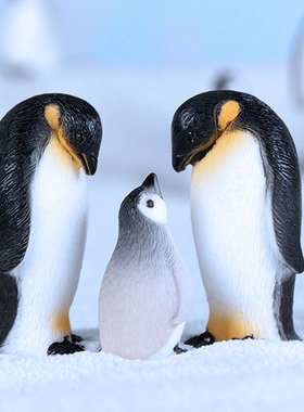 微景观小动物摆件可爱南极企鹅创意雪景冰川手工迷你海狮雪花装饰