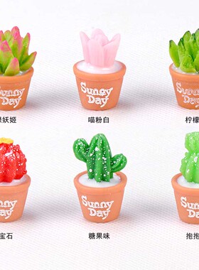 微景观盆栽装饰小摆件创意手工多肉仿真植物6款拍植物仙人掌芦荟
