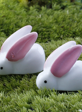 微景观树脂小白兔可爱卡通动物摆件兔斯基创意摄影彩绘大耳朵兔子