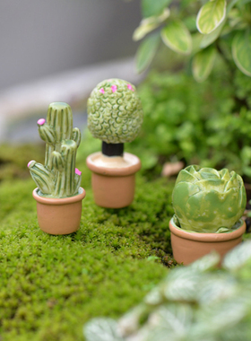 生态瓶多肉树脂造景卡通风摆件