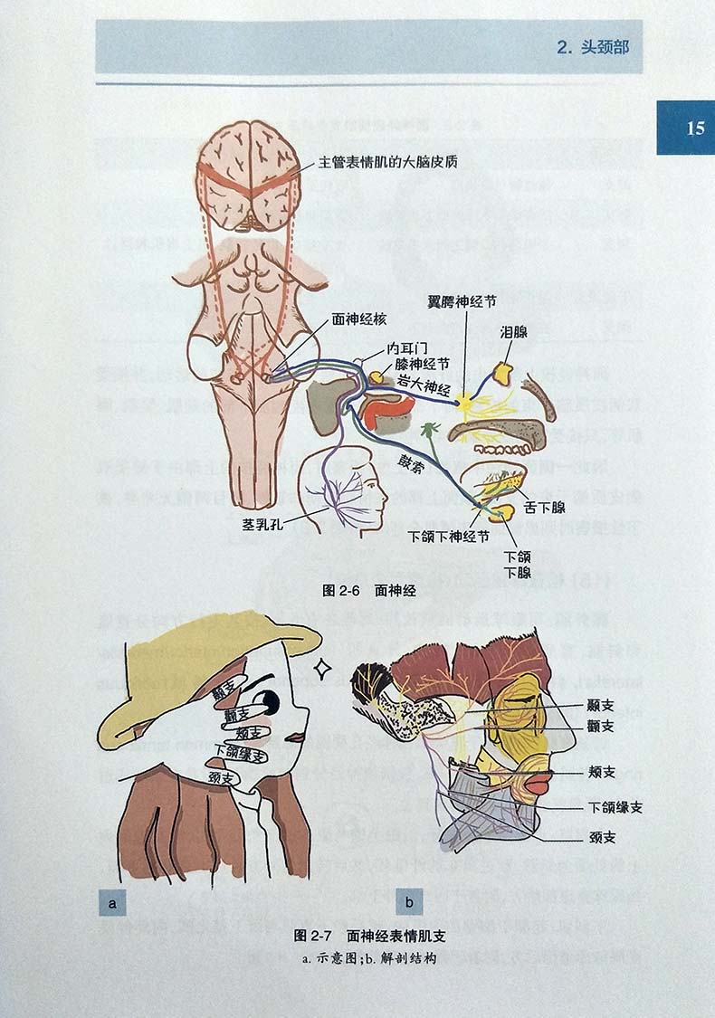 正版现货图解全身体格检查曾锐临床医学 2018年7月创新教材脊柱和四肢体格检查临床实用手册图谱人民卫生出版社医学书籍-图2