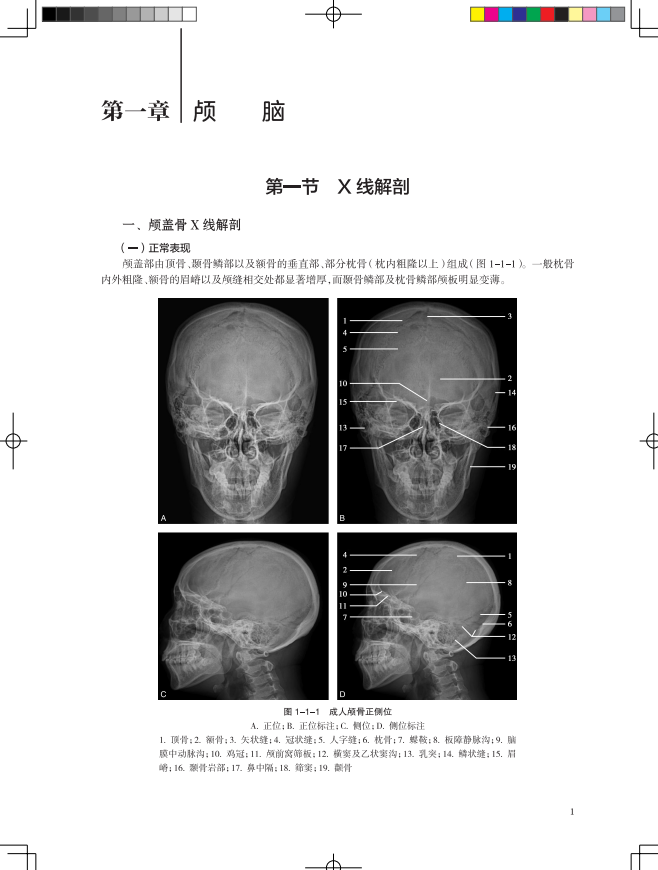 现货新版颅脑与头颈部影像图解正常解剖常见变异常见病变汪文胜胡春红影像解剖与临床图解临床医学丛书影像实用书籍人民卫生出版社 - 图1