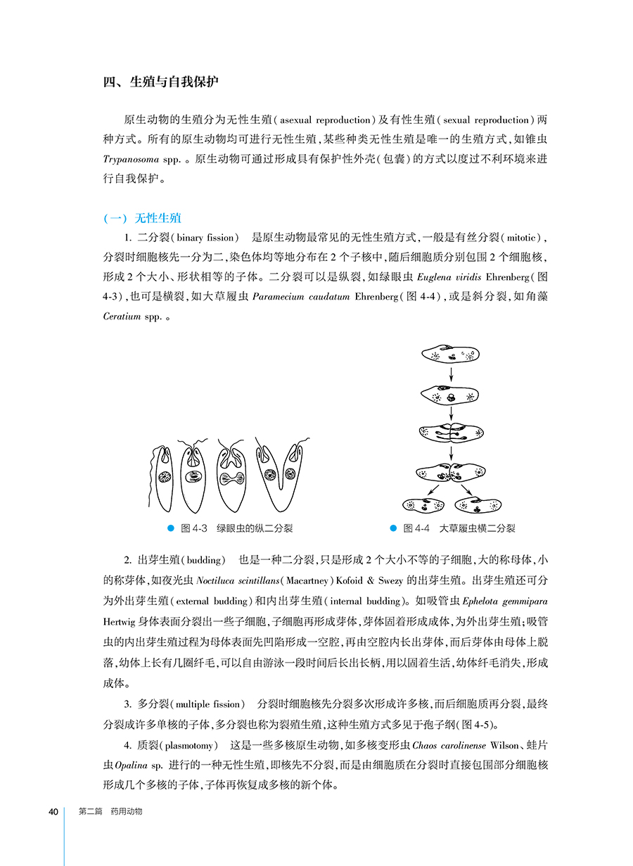 现货正版 药用动物学本科药学十三五规划教材张辉李峰全国高等学校中药资源与开发中药学栽培与鉴定中药制药等专业人民卫生出版社 - 图3