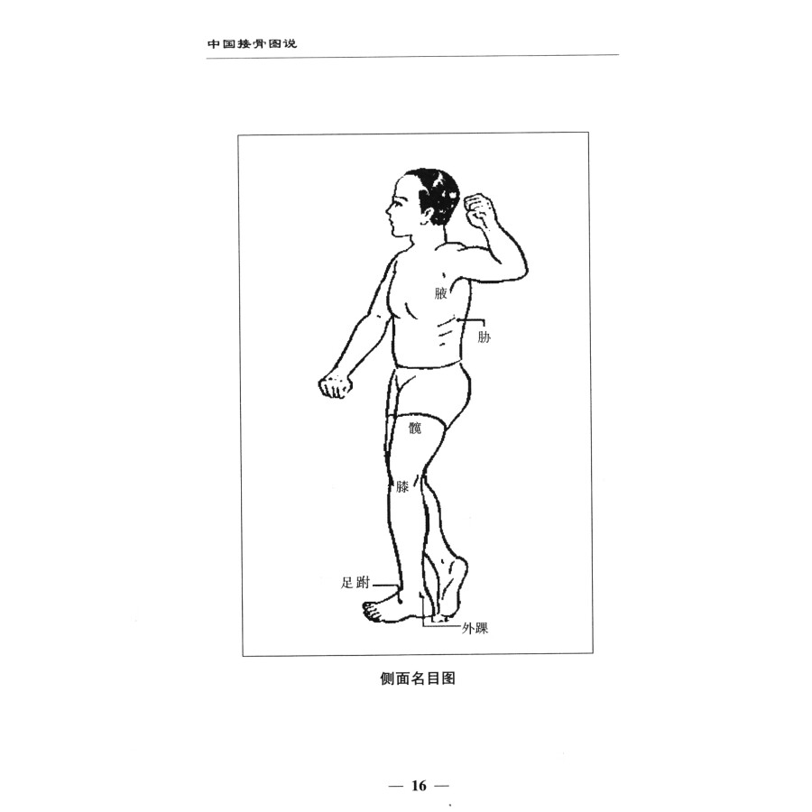 中国接骨图说 皇汉医学丛书 正骨范医宗金鉴心法 临床实用揉法150种筋骨损伤麻药外用内服药骨科 山西科学技术出版社9787537762304 - 图1