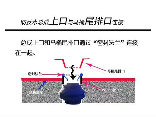 超矮型厕所卫生间马桶防反水溢流下水管道逆止单向自动控制阀B型 - 图2