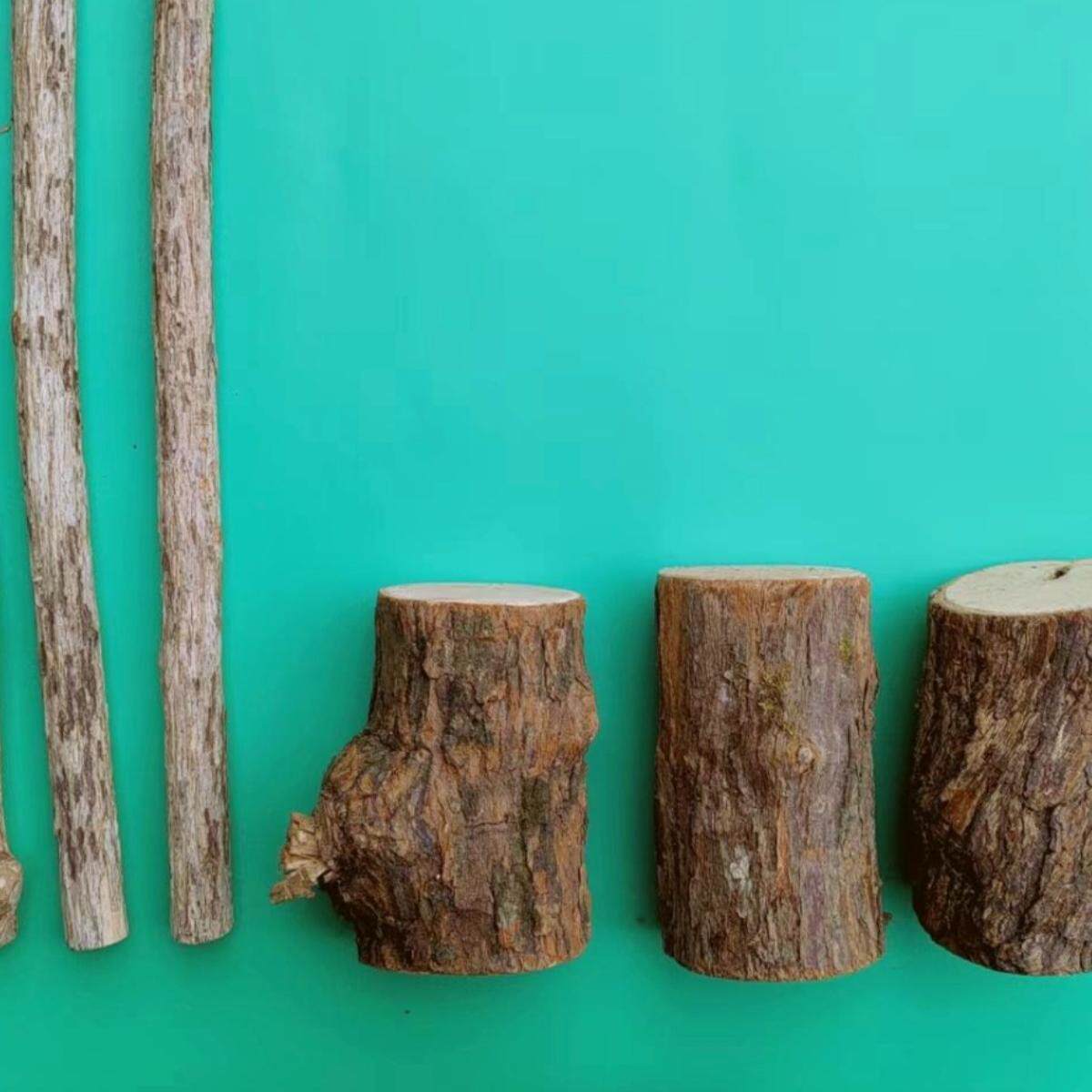 木天蓼磨牙棒猫咪玩具咬咬棒逗猫棒宠物磨牙磨抓安抚心情猫薄荷叶,淘宝优惠券,粉丝福利购,淘宝优惠卷