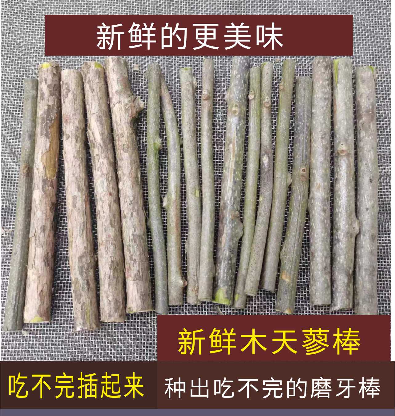 新鲜木天蓼棒新鲜水杨桃枝条猫咪磨牙棒零食猫咪自嗨解闷玩具 - 图2