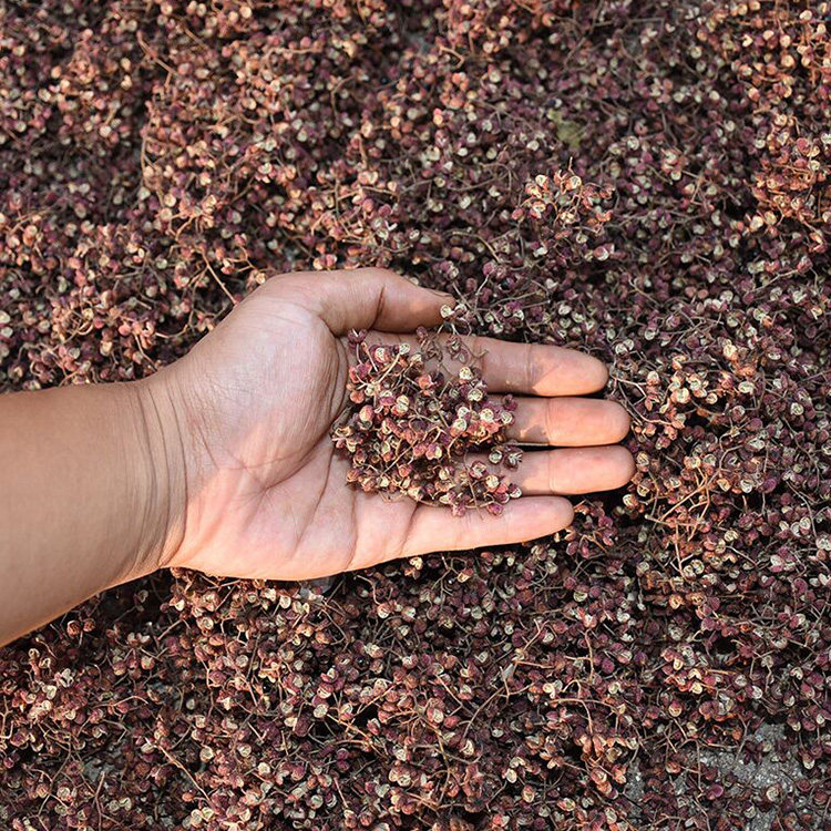 花椒艾草生姜泡澡包泡脚包足浴包养生产后哺乳期坐月子洗澡包儿童,淘宝优惠券,粉丝福利购,淘宝优惠卷