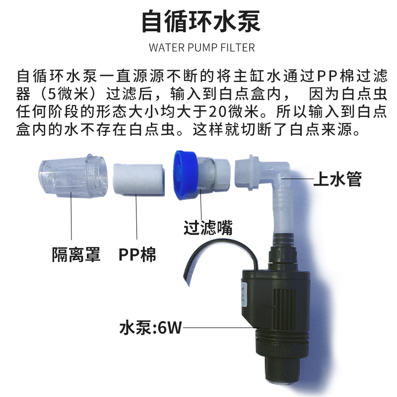 鱼彩防白点隔离盒亚克力鱼缸小鱼隔离隔离箱小型特大带隔板挂式盒 - 图3