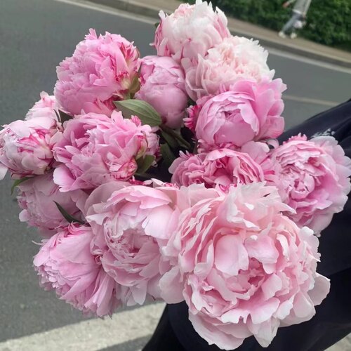 【A+级】进口芍药花牡丹鲜花大花苞直发重瓣花卉现采现发室内插花 - 图2