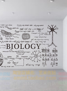 生物学教室墙面装饰高中初中细胞