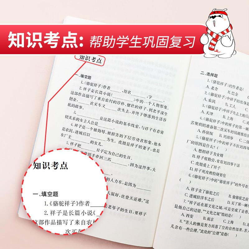 正版5册 朝花夕拾 城南旧事 呼兰河传 繁星春水 骆驼祥子鲁迅林海音原著萧红著全套小学生版四五六七年级中小学生课外阅读书籍名著 - 图1