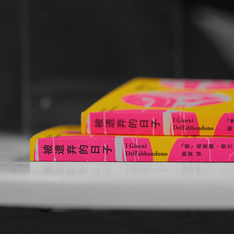 被遗弃的日子那不勒斯四部曲埃莱娜费兰特第二部长篇小说一个女人如何对抗遗弃的激荡寓言我的天才女友外国小说书籍-图1