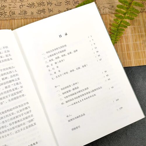 中国书法 陆维钊著书学著作 初学者入门毛笔、使墨、结构、用笔等基础知识 书法史书法艺术汉字 楷行隶书法字帖欣赏鉴别正版图书籍 - 图1