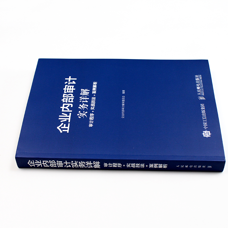 企业内部审计实务详解提高内部审计工作者业务操作水平内部审计技术与方法企业内部控制管理财务人员企业管理内部审计书籍-图1