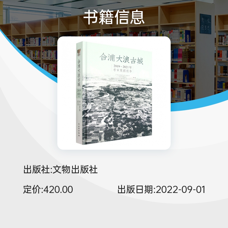 合浦大浪古城2019-2021年考古发掘报告 博库网 - 图0