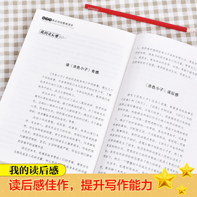 雷锋的故事书全套10册小学生红色经典书籍革命传统教育读本小学三四五六年级课外书必读小英雄雨来少年英雄王二小铁道游击队日记-图1