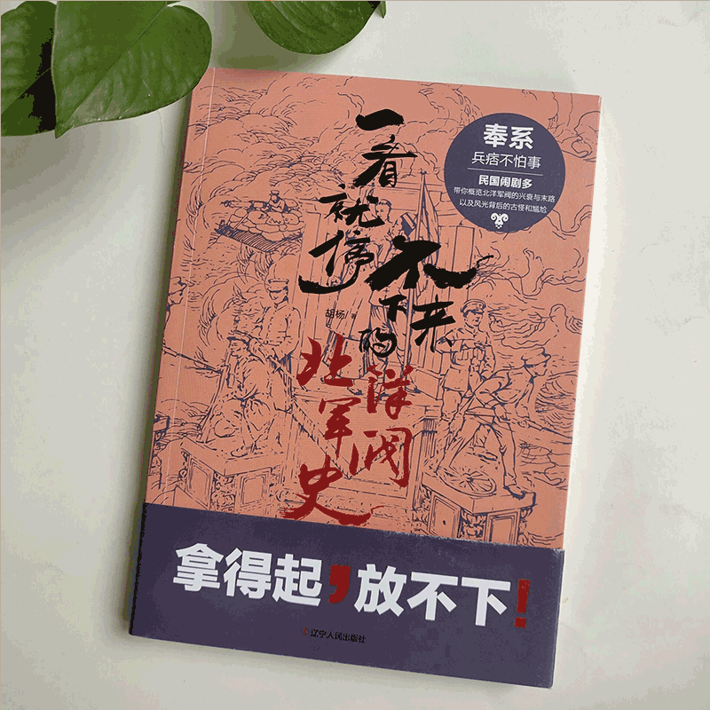 一看就停不下来的北洋军阀史：奉系用不太正经的方式讲述正儿八经的历史 北洋军阀历史畅销书正版包邮博库网 博库网 - 图1