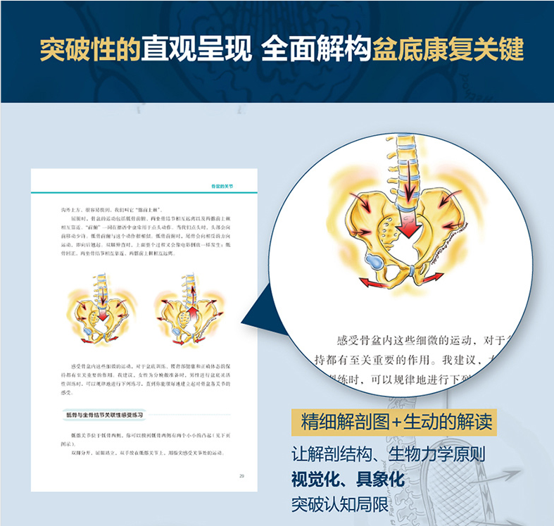 富兰克林盆底疗法骨盆与盆底的解剖学认知及盆底康复训练埃里克富兰克林编盆底产后功能12周康复方案复原训练书籍运动方案妇产科学-图2