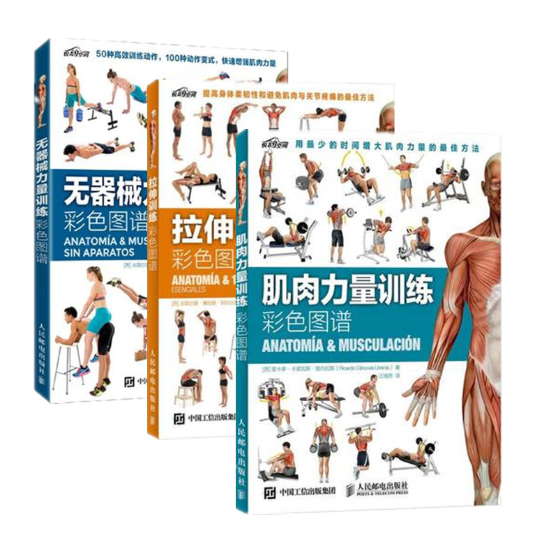 【套装3册】拉伸+力量训练彩色图谱 博库健身
