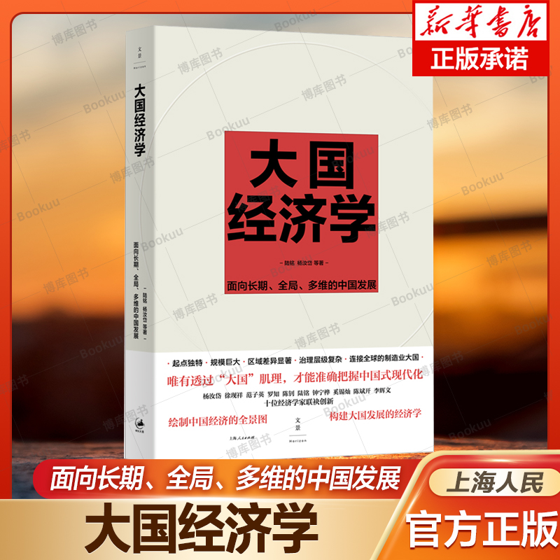 大国经济学：面向长期、全局、多维的中国发展 陆铭 杨汝岱等著 系统解读中国经济的通识之作 经济长期发展转型 置身事内 大国大城 - 图2