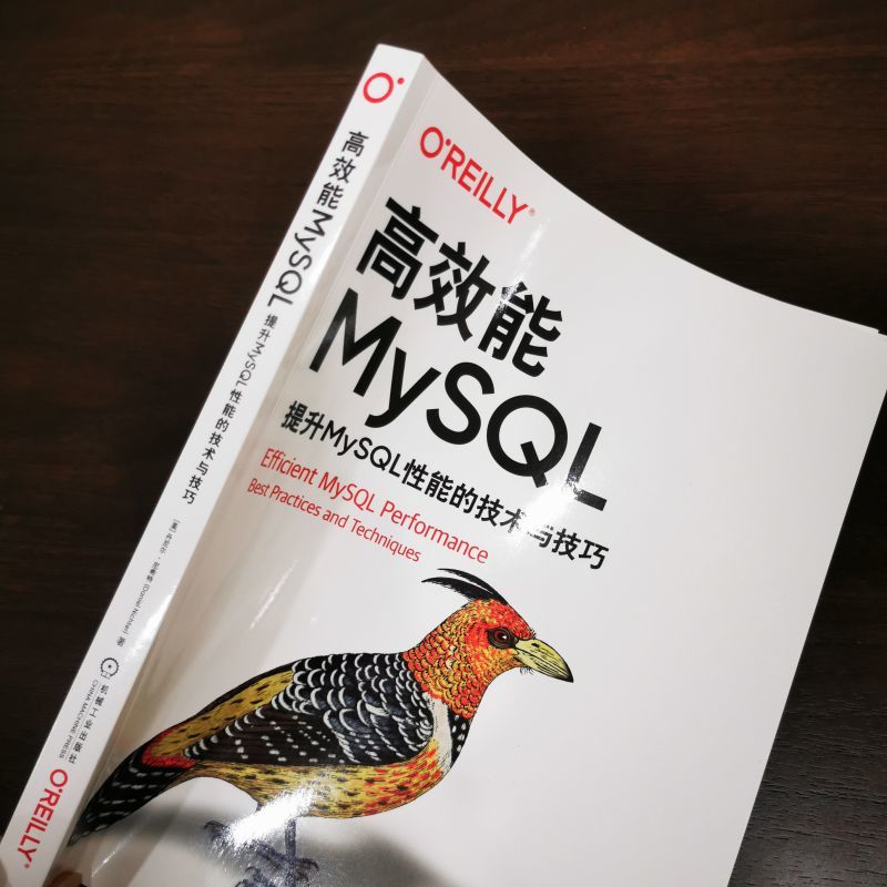 高效能MySQL 提升MySQL性能的技术与技巧 丹尼尔 尼希特 响应时间 编制索引 访问模式 服务器指标 复制延迟 数据漂移