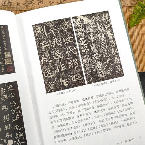 中国书法 陆维钊著书学著作 初学者入门毛笔、使墨、结构、用笔等基础知识 书法史书法艺术汉字 楷行隶书法字帖欣赏鉴别正版图书籍 - 图2