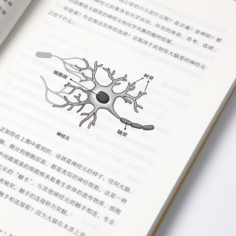 加油吧大脑中国工程院院士周良辅撰序黄翔著教你解决日常生活中的40多个大脑健康问题中信出版新华书店博库旗舰店-图2