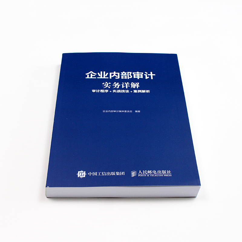 企业内部审计实务详解提高内部审计工作者业务操作水平内部审计技术与方法企业内部控制管理财务人员企业管理内部审计书籍-图0