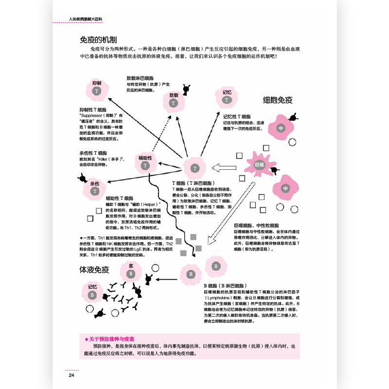 人体疾病图解大百科全面介绍人体器官和疾病图文并茂超过600张精美插图一书在手科学认识预防和应对人体博库网-图0