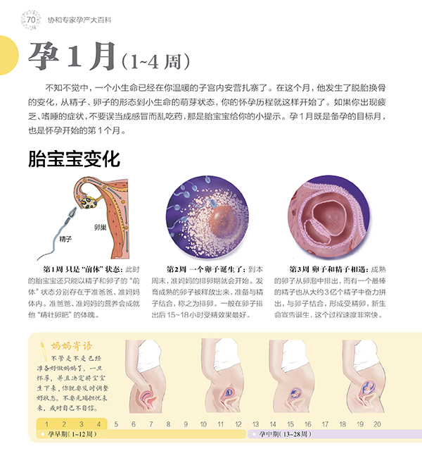 协和专家孕产大百科 孕产胎教 怀孕备孕宝宝辅食营养育儿百科书籍 - 图0