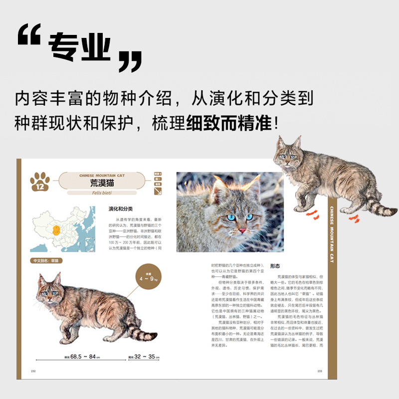 中国大猫 吕植著中国 地理科普读物 dk猫咪图鉴猫百科全书猫科生物图鉴猫科动物图鉴中信出版社 新华书店 博库旗舰店 - 图1