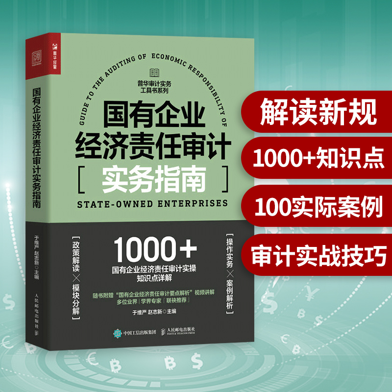 国有企业经济责任审计实务指南 国企审计工具书财务报告会计财务报表普华审计实务工具书籍 内部 内审 咨询会计师事务所风控博库网 - 图0