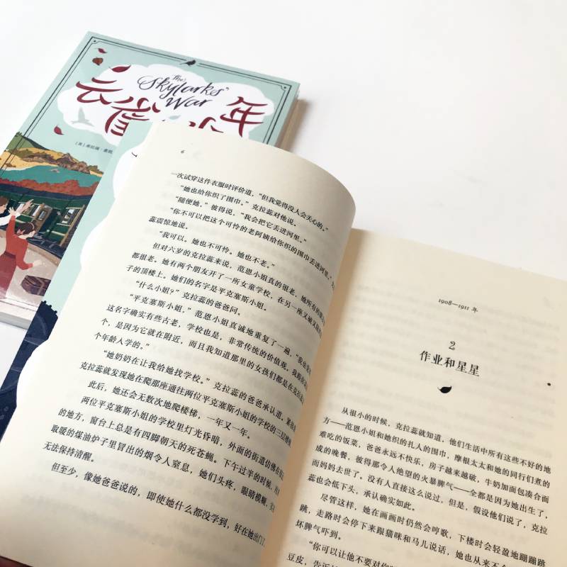 云雀与少年 拉瑞麦凯 2018年科斯塔图书获奖作品 孩子与父母的家庭冒险 青少年阅读中学生课外阅读小说书籍正版书籍 - 图3