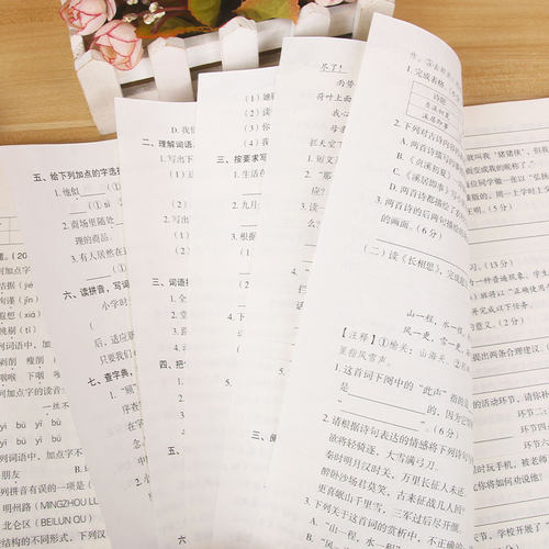 2024小升初试卷真题卷模拟测试卷分班考语文数学英语必刷题人教版毕业系统总复习小学六年级下册期末考试全套同步练习名校名卷冲刺 - 图1