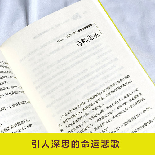 月牙儿 我这一辈子 四世同堂茶馆老舍短篇小说选 经典文学名著 - 图2