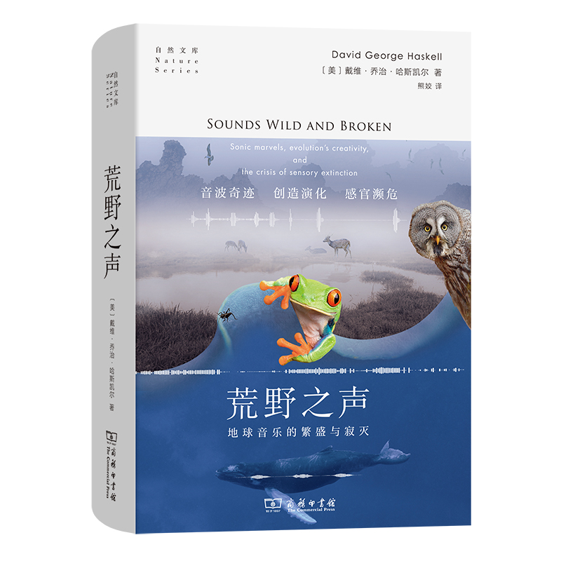 荒野之声 地球音乐的繁盛与寂灭 自然文库  [美]戴维·乔治·哈斯凯尔 著 熊姣 译 商务印书馆 新华书店 博库旗舰店 官方正版 - 图0